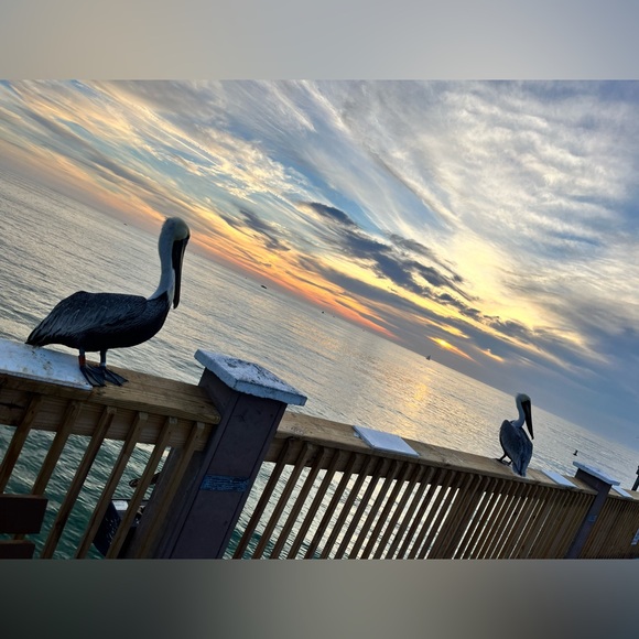 Hey y’all!! - Picture 8 of 11